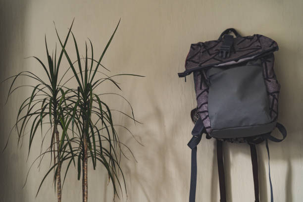 istock Purple School Backpack Hanging on the Wall - Isolated Object with White Background with Green Plant Besides it, Vintage Film Edit 1132959653