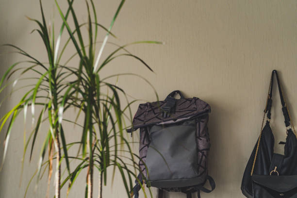 istock Purple School Backpack Hanging on the Wall - Isolated Object with White Background with Green Plant Besides it, Vintage Film Edit 1132960271