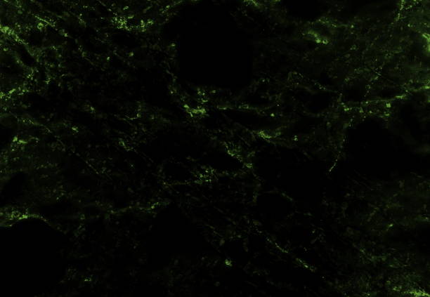 istock green black marble texture background. Marbles abstract natural  dark green for interior design. 1132976914