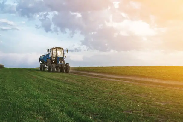 Tractor with a barrel trailer rides on a green field