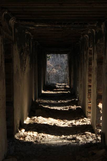 istock Abandoned and ruined House 1132981192