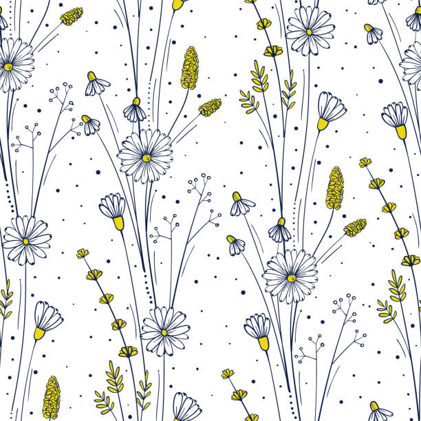 ilustraciones, imágenes clip art, dibujos animados e iconos de stock de patrón sin costuras wildflower. fondo floral de repetición. flores y hojas ornamento para la tela - chamomile plant chamomile bouquet wildflower