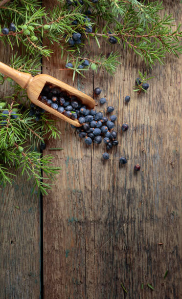 istock Juniper branch and wooden spoon with berries. 1132984313