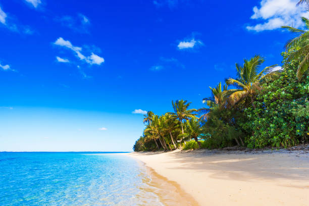 istock View of the sandy beach, Cook Islands, South Pacific. Copy space for text 1132984376
