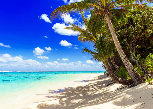 istock View of the sandy beach, Cook Islands, South Pacific. Copy space for text 1132984563