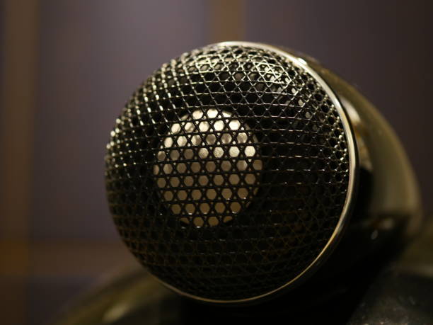 Bass Speaker membrane close up