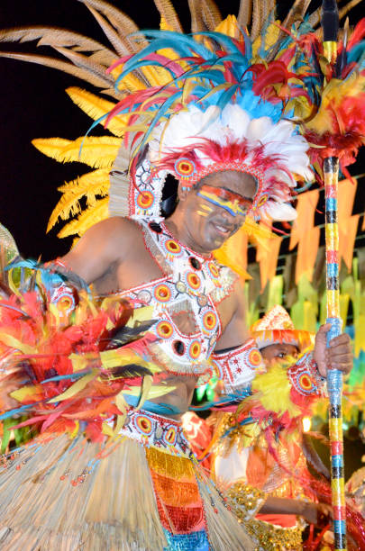 Indian Costume for Carnival São Luiz do Maranhão, Brazil, June 13, 2011: A man, wearing a colorful indian costume with headdress takes part in Carnival celebrations in Brazil. This is one of the many parades and street parties that takes place during the carnival season. mardi gras body painting stock pictures, royalty-free photos & images