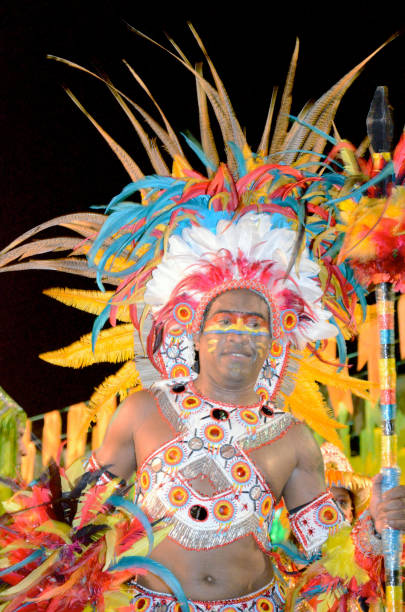 Indian Costume for Carnival São Luiz do Maranhão, Brazil, June 13, 2011: A man, wearing a colorful indian costume with headdress takes part in Carnival celebrations in Brazil. This is one of the many parades and street parties that takes place during the carnival season. mardi gras body painting stock pictures, royalty-free photos & images