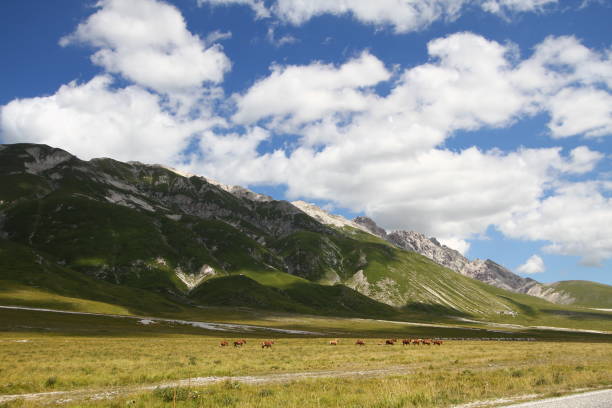 istock Gran Sasso Mountain and Park 1132986446