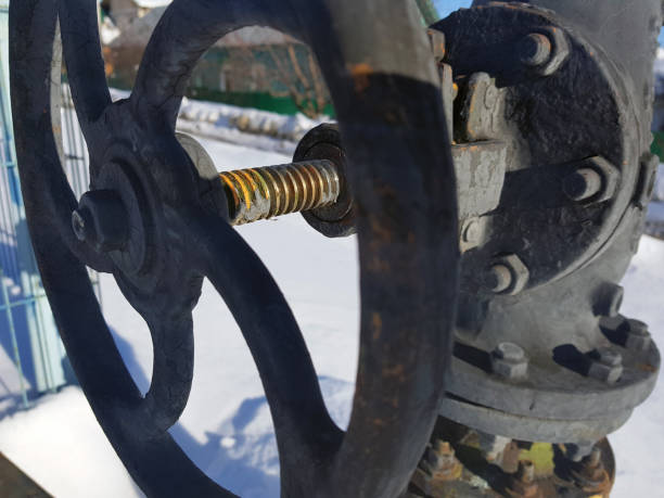 istock beautiful gagovy valve against the blue sky 1132986478