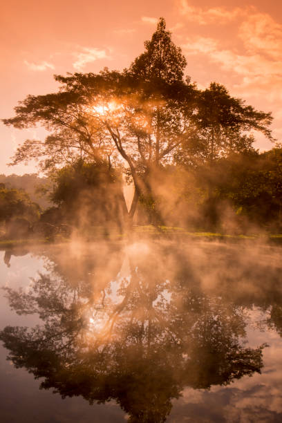 istock THAILAND LAMPANG JAESORN HOTSPRINGS 1132987756