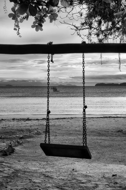 Swing hanging on a tree on the Pontal beach in the city of Paraty on the south coast of the state of Rio de Janeiro in Brazil