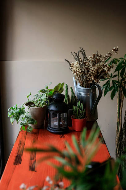 istock Flowers in a pot on a window sill at the window 1132990943