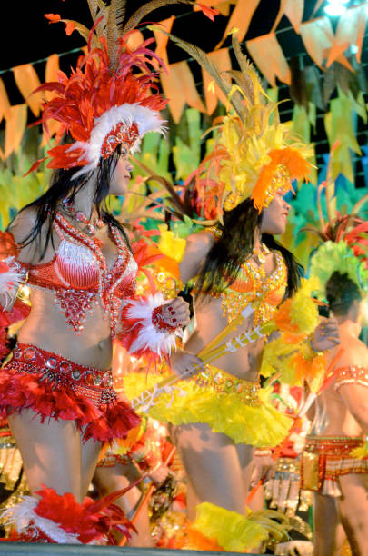 Indian Costume for Carnival São Luiz do Maranhão, Brazil, June 13, 2011: Young adults, wearing a colorful indian costume with headdress takes part in Carnival celebrations in Brazil. This is one of the many parades and street parties that takes place during the carnival season. mardi gras body painting stock pictures, royalty-free photos & images