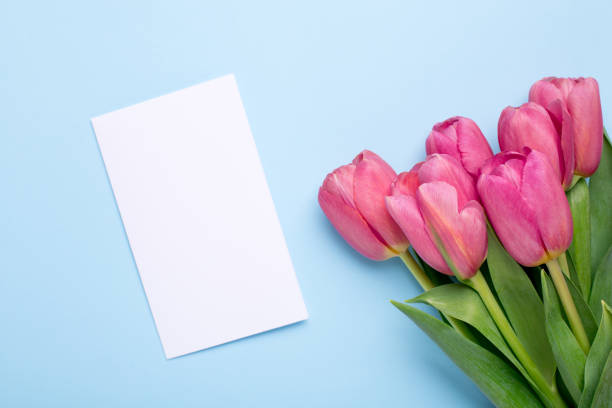 istock Pink flowers tulips and present card on a blue background 1132994833
