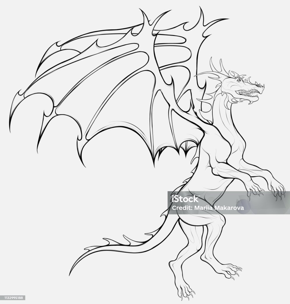 Flying dragon The dragon with grinning mouth, preparing for takeoff. Linear illustration of winged snake, mythological character of fairy tales. Fantastic creature growls. Black And White stock vector