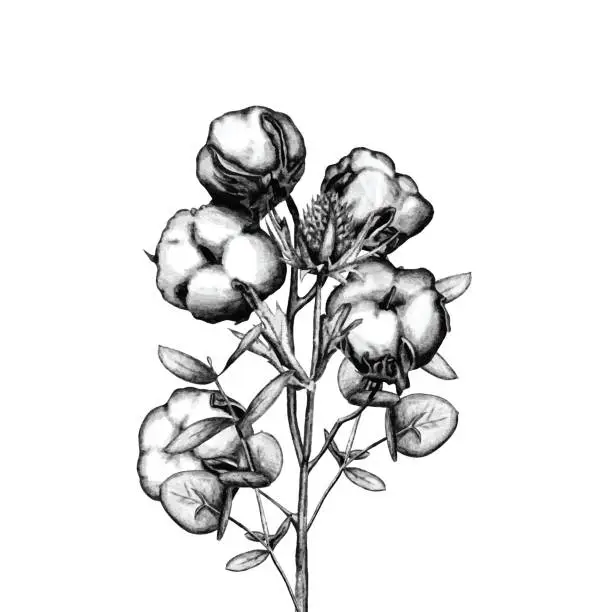 Vector illustration of Hand drawn flower sketch design
