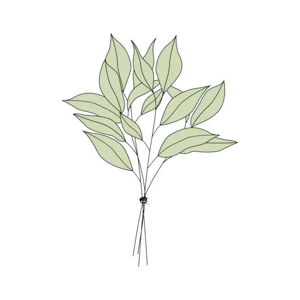 Vector illustration of Hand drawn leaf sketch pattern design