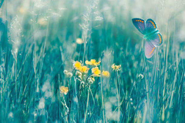 istock Beautiful nature in spring, buttercup and butterfly in meadow 1132996604
