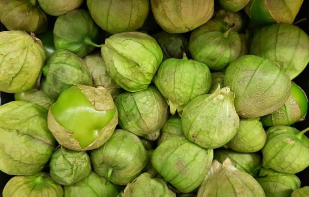Green Tomatillos on a market stand. A batch of fresh green Tomatillos on a market stand. These fruits are found throughout the Americas and Mexico, and are used to make various salsas and green sauces. tomatillo photos stock pictures, royalty-free photos & images