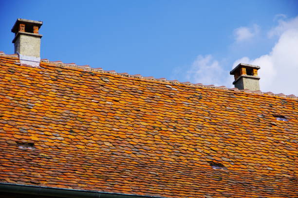 Polarizing filters, beaver tiles, beaver tail roof tiles, building ceramics, pitched roof,