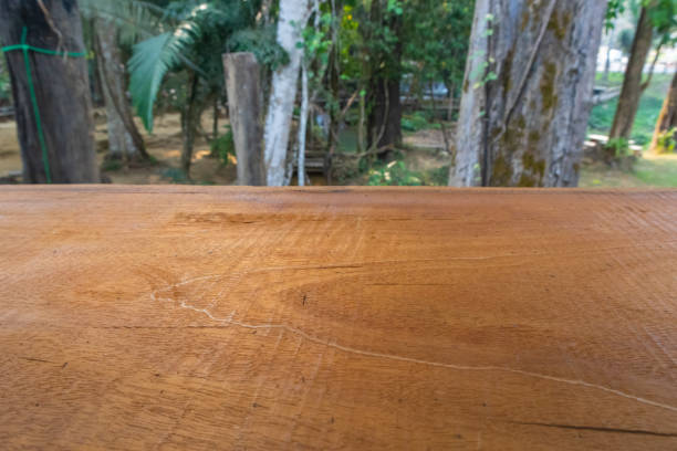 istock table scene and tree in background at coffee cafe 1132999751