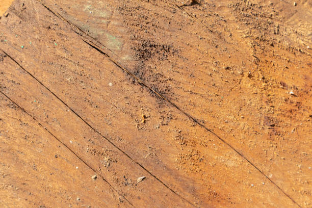 istock close up orange wooden texture background at thailand 1133001461