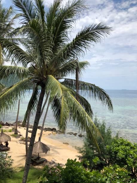 istock Karimunjawa Indonesia 1133003151