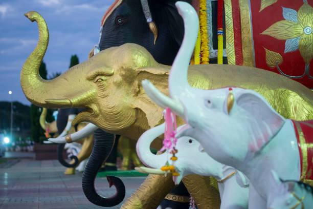 Little elephant use his trunk to play hula hoop