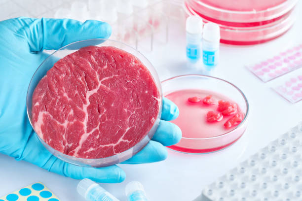 istock Meat sample in open  disposable plastic cell culture dish in modern laboratory or production facility 1133003282