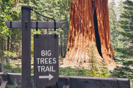 Sequoia & Kings Canyon National Parks, California USA, hiking trail sign
