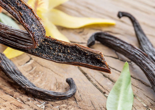 istock Dried vanilla fruits and vanilla orchid. 1133009541