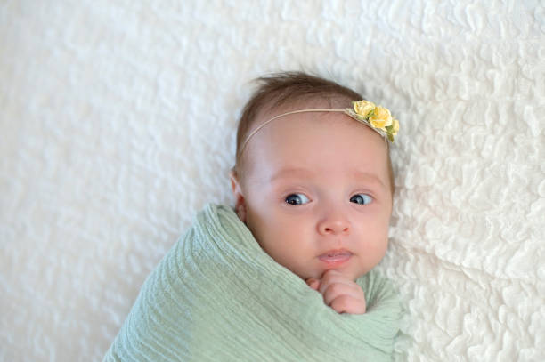 swaddled alerte bébé fille - baby people headband portrait photos et images de collection
