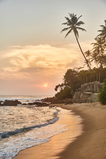 istock Stunning views of the Indian ocean at sunset. 1133009621