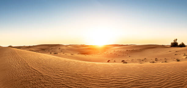 wüste in den vereinigten arabischen emiraten bei sonnenuntergang - wüste stock-fotos und bilder