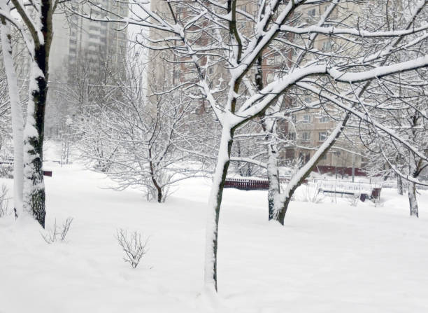 istock city park after snowfall at day 1133010904