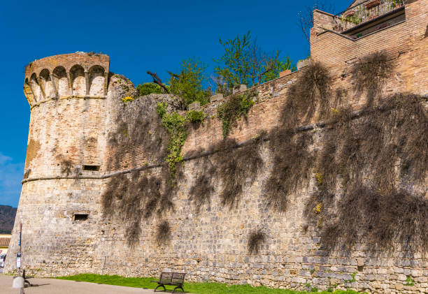 istock San Gimignano in Tuscany, Italy 1133015517