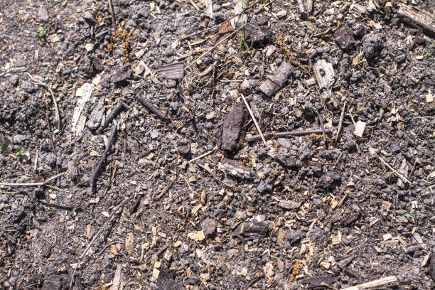istock Interesting creative textures from a different plan of cobblestones or lines, cracks. Wallpaper for design 1133016779