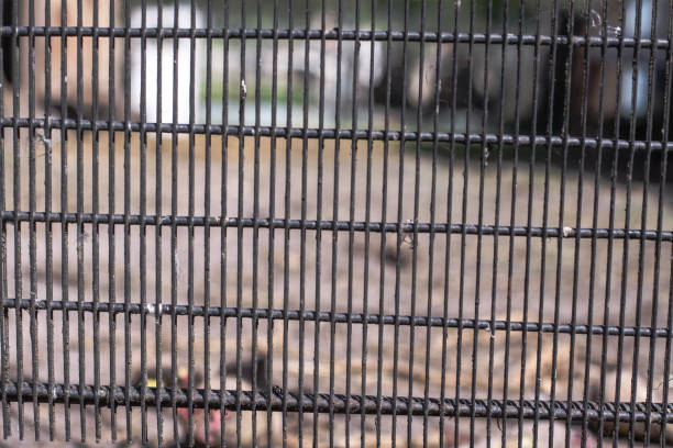 Metal mesh with rust. Grunge texture. Stock background, photo