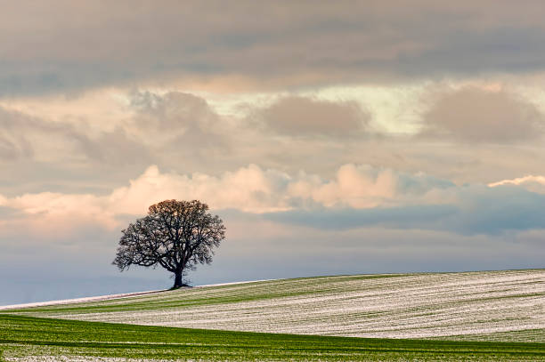 istock Copyspace of Minimalist winter Landscape 1133019860