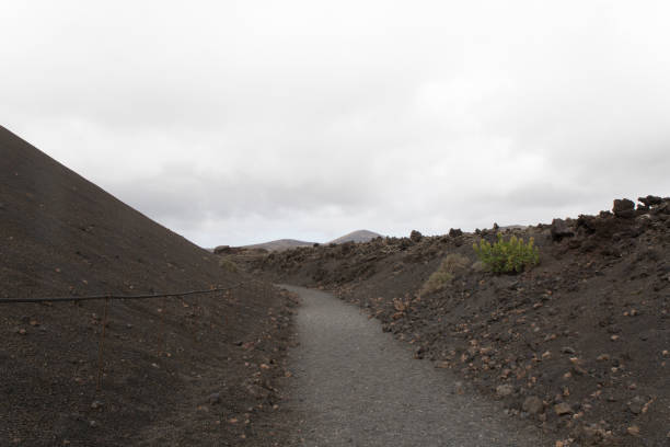 istock Lanzarote Volcanic Landscape 1133021295