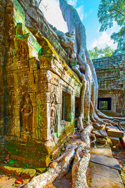 istock Ancient ruins of Ta Prohm temple 1133021574