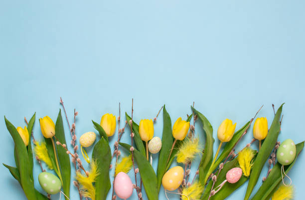 istock Yellow tulip bouquet, blue background, spring time. Easter day concept. 1133021586