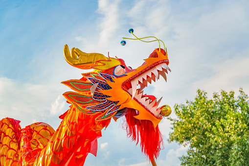 Traditional dragon dance at chinese new year celebration celebrated in the city of montevideo, uruguay