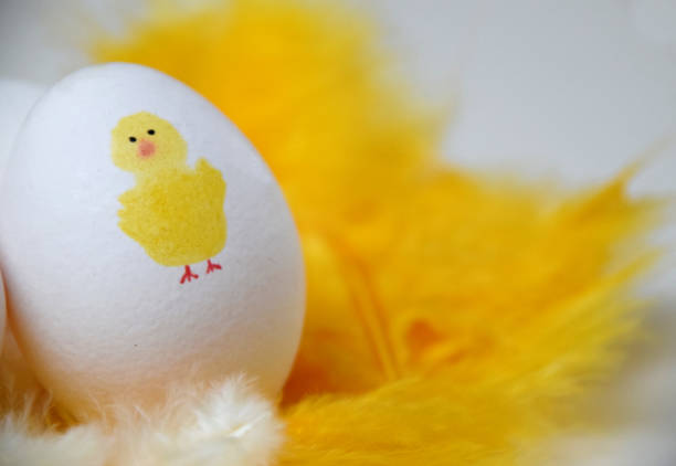istock Fun yellow Easter chicken painted on egg and with yellow feathers in the background 1133023338