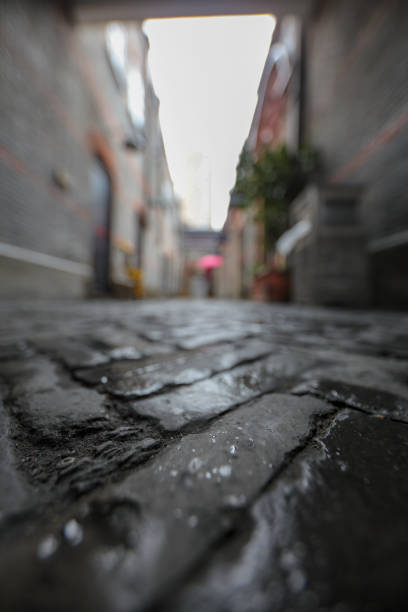 istock Old alley way in Shanghai 1133024346