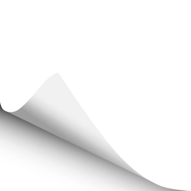 istock Sheet of white paper with curled lower left corner. Element with space for text, ad and other aims. Vector template paper design. 1133025592