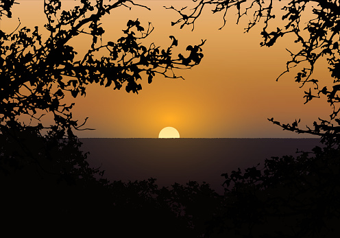 Realistic illustration of sunset on the orange evening sky. Silhouette of tree branches and landscape with forest in the background - vector