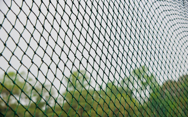 istock Nylon sports nets isolated unique photo 1133027333