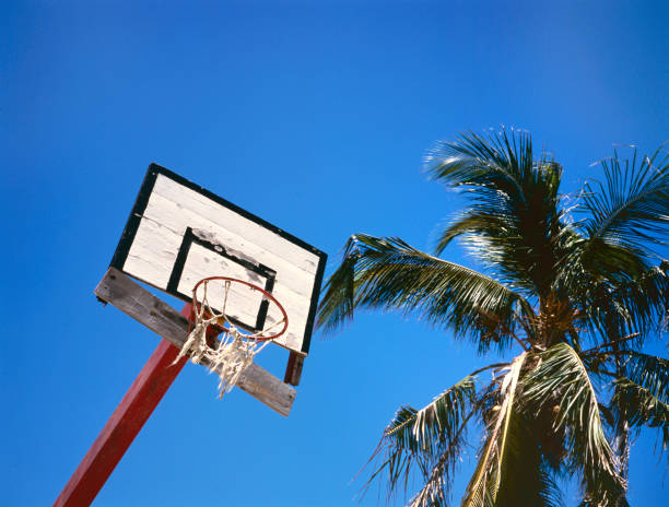istock Very old basket bal goal and palm tree 1133027955